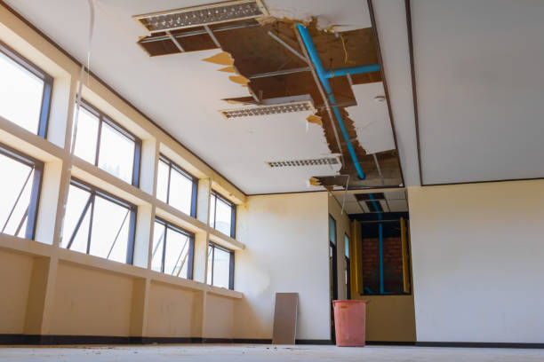 Best Mold removal after water damage  in Farrell, PA