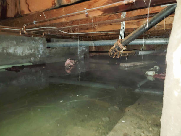 Best Water damage restoration near me  in Farrell, PA