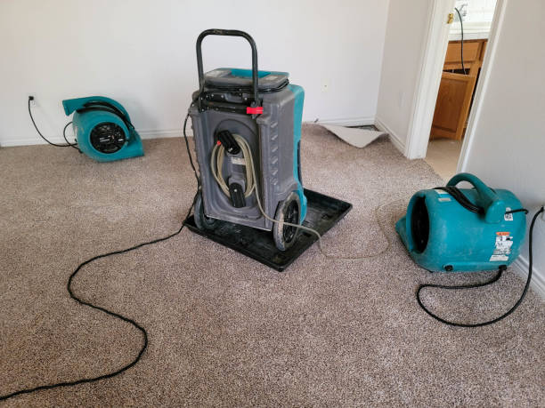 Best Sewage cleanup and water damage restoration  in Farrell, PA