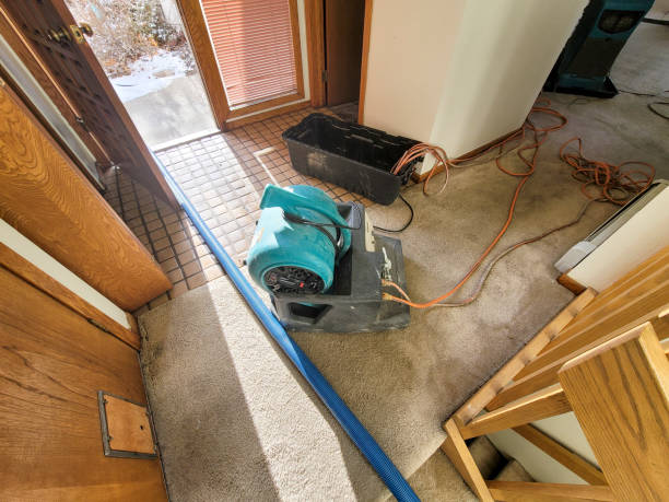 Best Flood damage cleanup  in Farrell, PA