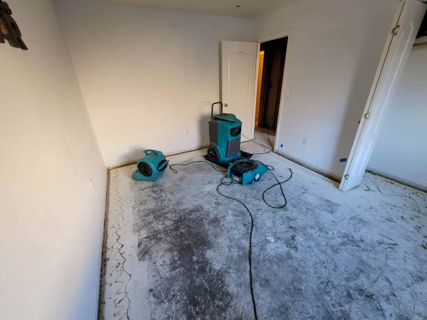 Trusted Farrell, PA Water damage restoration Experts