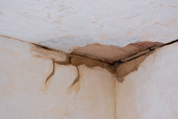 Best Ceiling water damage repair  in Farrell, PA