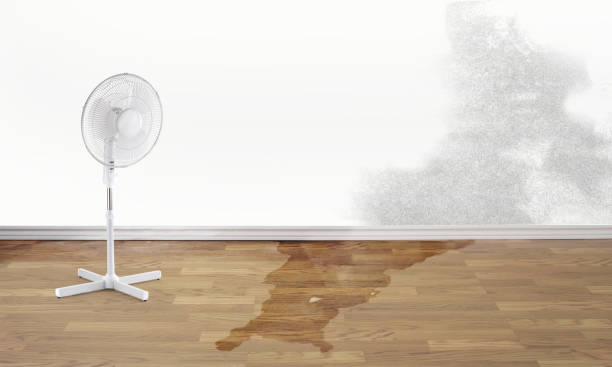 Best Professional water damage repair  in Farrell, PA