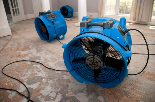 Best Emergency water damage restoration  in Farrell, PA