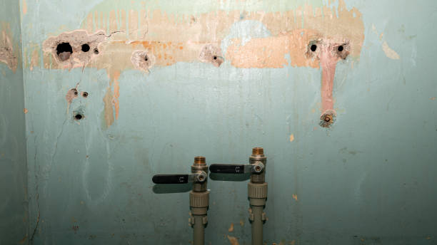 Best Basement water damage restoration  in Farrell, PA