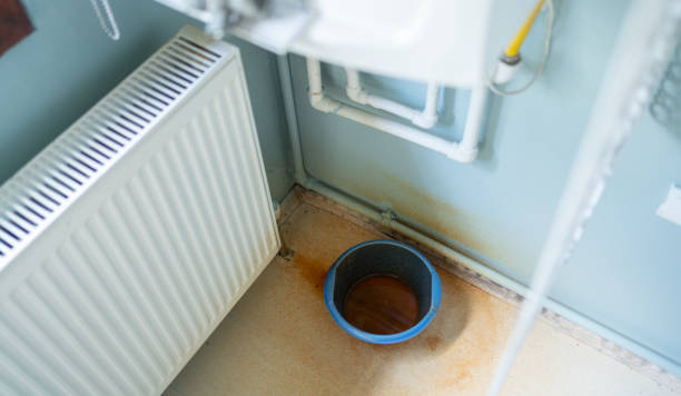 Best Water damage restoration mold remediation  in Farrell, PA