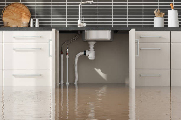 Best Flood restoration services  in Farrell, PA