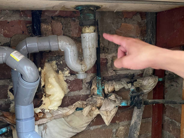 Best Water damage contractors near me  in Farrell, PA