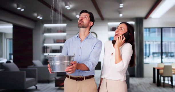 Best Flood damage cleanup  in Farrell, PA